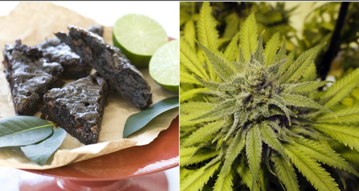 Kladdkaka, Kakor, Cannabis